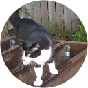 Jan Wallace profile picture